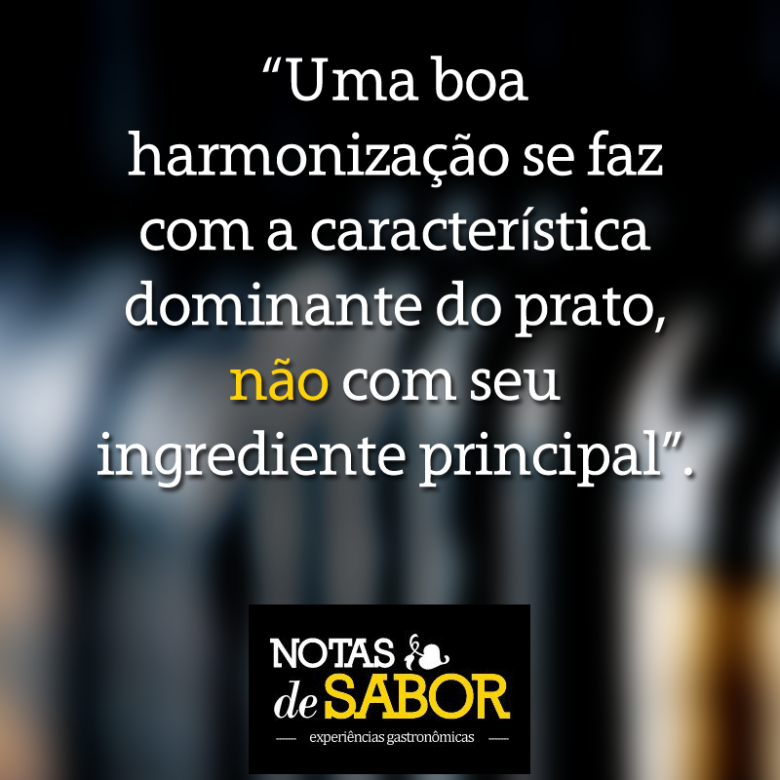 Como harmonizar vinho e comida?